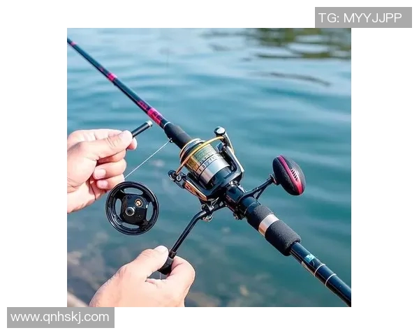 渔具选购与使用全攻略：如何选择适合自己的渔具装备技巧