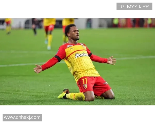 谁是法甲最佳球迷 热情与忠诚的代表 谁是法甲最佳球迷 热情与忠诚的代表